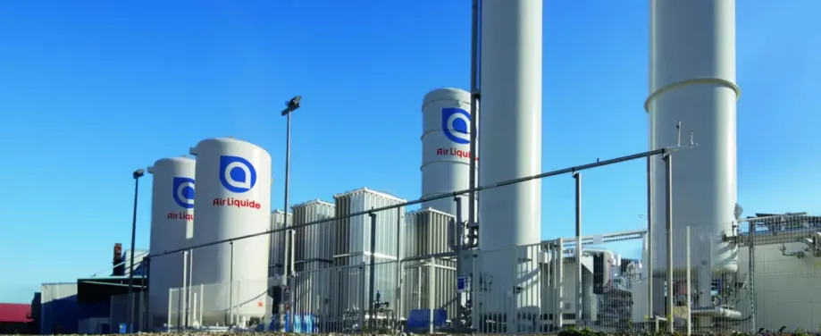 Air Liquide record year